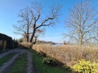 Anliegerweg