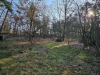 Wald 