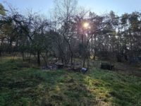 Wald