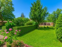 Grundstück hinterm Haus