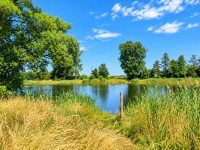 Parchauer See 